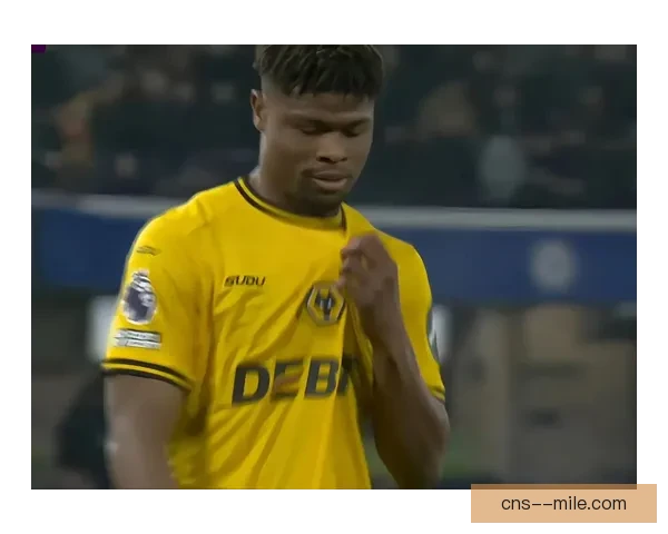 2025夏季转会风云：富勒姆成功引进法甲顶级边后卫