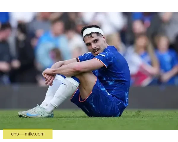 切尔西完成内托签约增强门将实力迎接新赛季挑战